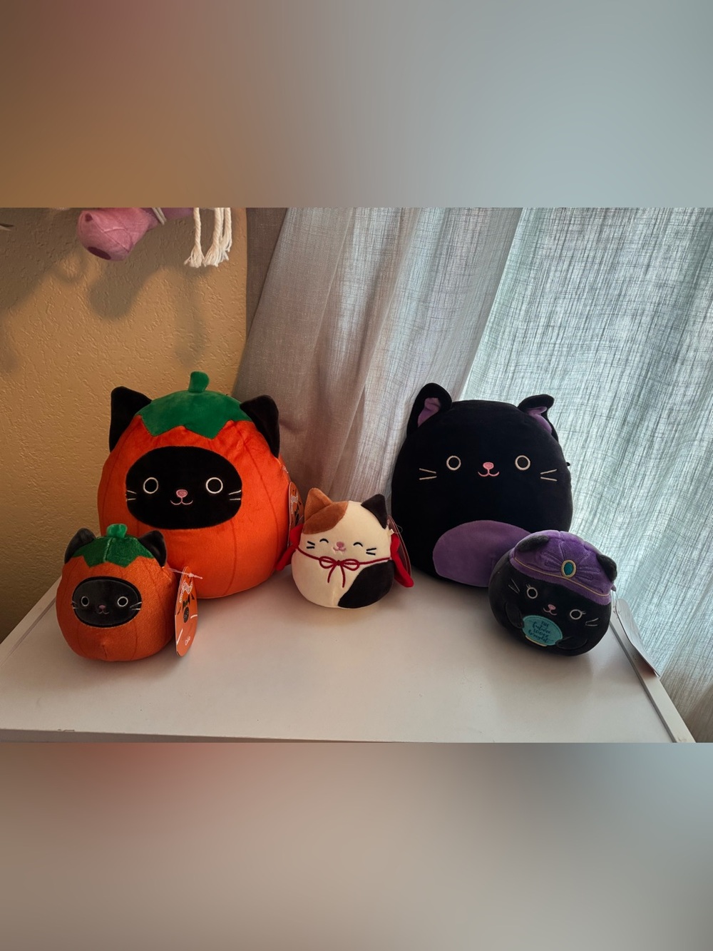 Halloween Cats Bundle